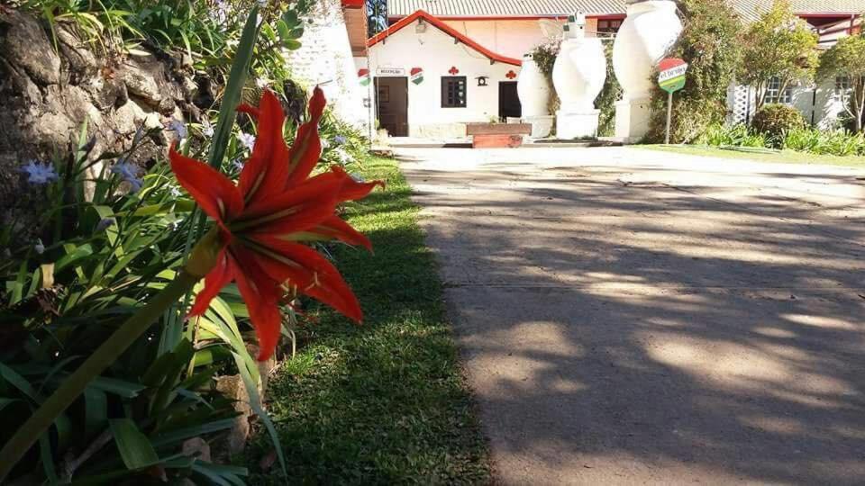 Pousada El Brujo 蒙特韦尔迪 外观 照片